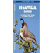Nevada Birds: A Folding Pocket Guide to Familiar Species