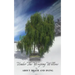 Under the Weeping Willow