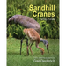 Sandhill Cranes, Family Times