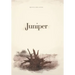 Juniper