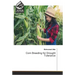 Corn Breeding for Drought Tolerance