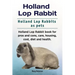 Holland Lop Rabbit. Holland Lop Rabbits as pets. Holland Lop Rabbit book for pros and cons, care, housing, cost, diet and health.