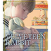 The Velveteen Rabbit Touch and Feel Board Book: The Classic Edition