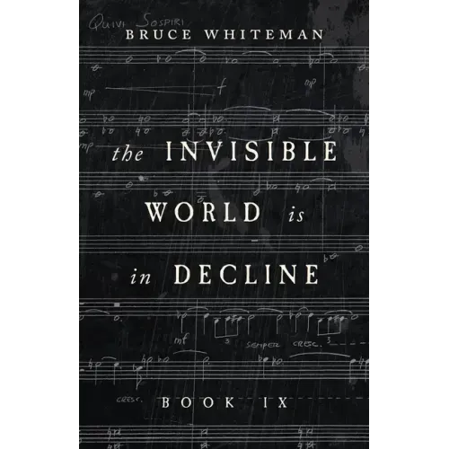 The Invisible World Is in Decline Book IX