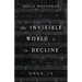 The Invisible World Is in Decline Book IX