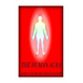 The Human Aura