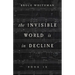 The Invisible World Is in Decline Book IX