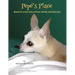 Pepe's Place