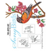 Song Birds: A Special Edition Coloring Book