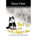 Black Cat and the Secret in Dewey's Diary: A tale of history, mystery, riddles and gold