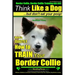 Border Collie, Border Collie Training AAA AKC: Think Like a Dog, But Don't Eat Your Poop! Border Collie Breed Expert Training: Here's EXACTLY How To T