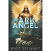 The Ark Angel