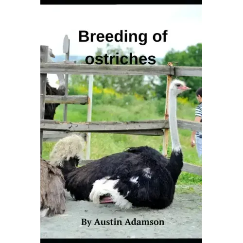 breeding of ostriches