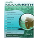 Math Mammoth Grade 5 Skills Review Workbook