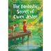 The Fantastic Secret of Owen Jester