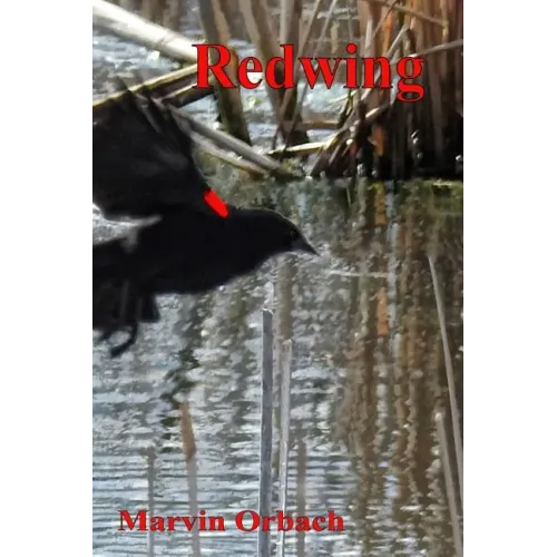 Redwing: Poems by Marvin Orbach