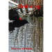 Redwing: Poems by Marvin Orbach