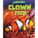 Clown Fish