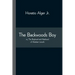 The Backwoods Boy; or, The Boyhood and Manhood of Abraham Lincoln
