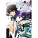 The Irregular at Magic High School, Vol. 2 (Light Novel): Enrollment Arc, Part II Volume 2