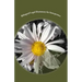 Bilingual Legal Dictionary for Interpreters: English-Spanish LEGAL Glossary