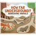 How Far Underground?: Burrowing Animals