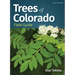 Trees of Colorado Field Guide