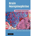 Brain Norepinephrine: Neurobiology and Therapeutics