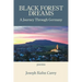 Black Forest Dreams: A Journey through Germany
