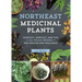 Northeast Medicinal Plants: Identify, Harvest, and Use 111 Wild Herbs for Health and Wellness