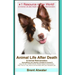 Animal Life After Death & Animal Reincarnation: Pet Loss Answers for all your heart's Questions!