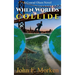 When Worlds Collide: A Conrad Olsen Novel