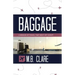 Baggage: A Memoir of Travel That Went off Script