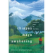 Chiapas Maya Awakening: Contemporary Poems and Short Stories