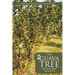 The Guava Tree