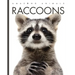 Raccoons