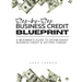Step By Step Business Credit Blueprint