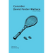 Consider David Foster Wallace