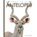 Antelopes