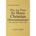A Layman's Guide to: Why Are There So Many Christian Denominations?