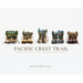 Pacific Crest Trail: Footsteps and Photographs