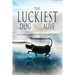 The Luckiest Dog Not Alive