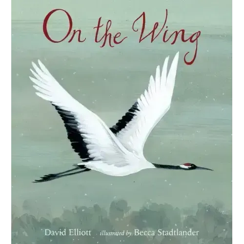 On the Wing