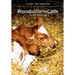 Reproduction in Cattle