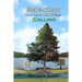 Rejection, don't let it usurp your calling