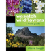 Wasatch Wildflowers
