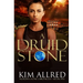 A Druid Stone: A Time Travel Romance Adventure
