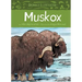 Animals Illustrated: Muskox