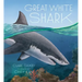 Great White Shark