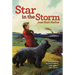 Star in the Storm
